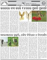 Page-3