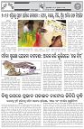 Page-6
