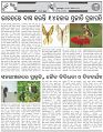 Page-3