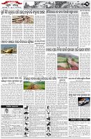 Page-3