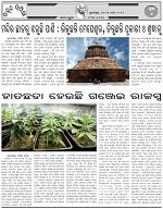 Page-6
