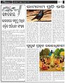 Page-6