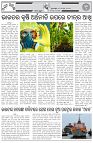 Page-6