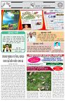 Page-7