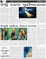 Page-3